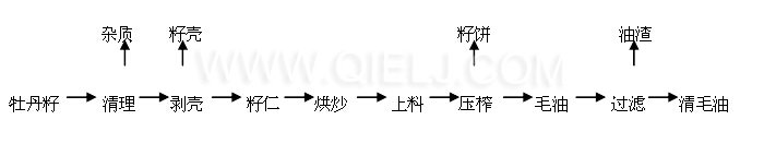 牡丹籽油設(shè)備 牡丹籽油榨油精煉生產(chǎn)線(圖7)